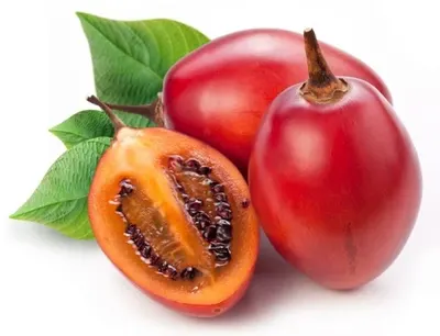 Tree Tomato
